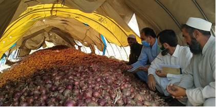 USA backs farmers of FATA in onion crops tweets embassy