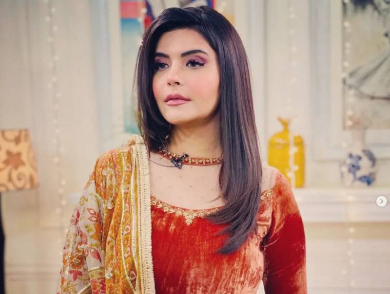 Nida Yasir's SIZZLING DANCE PERFORMANCE on 'Makhna' will blow you away