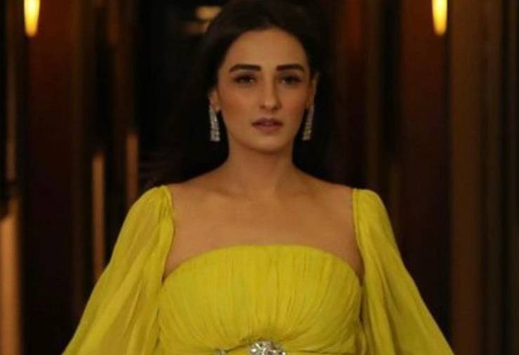 Netizens stunned at audacity of Momal Sheikh to emerge in revealing attire 