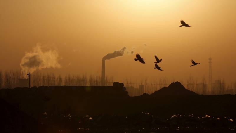 CO2 emissions from energy sector rise by record 2 bn tonnes in 2021: IEA