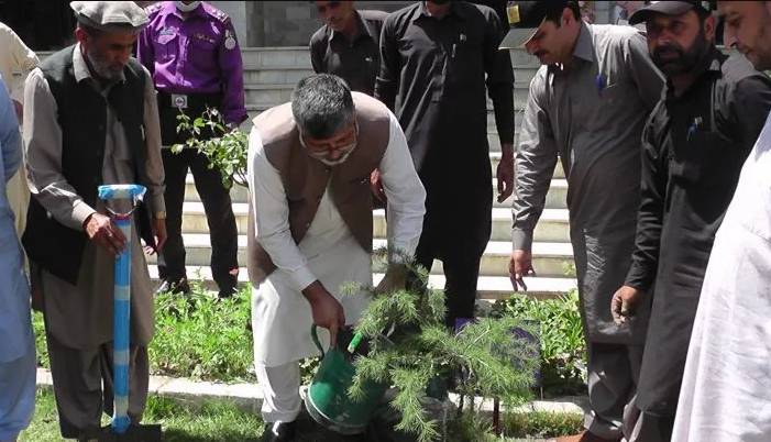 Plantation drive held at University of Chitral on Green Pakistan Day. 