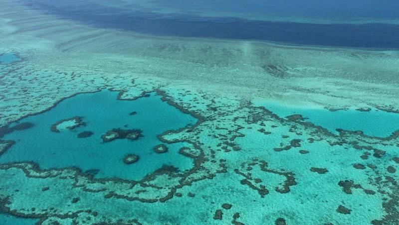 UN weighs listing Great Barrier Reef as 'in danger'