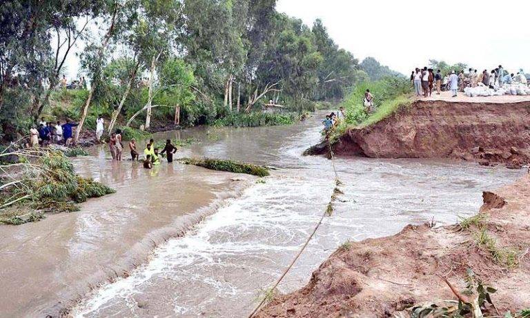 Canal breach ravages wheat crops in Bahawalnagar