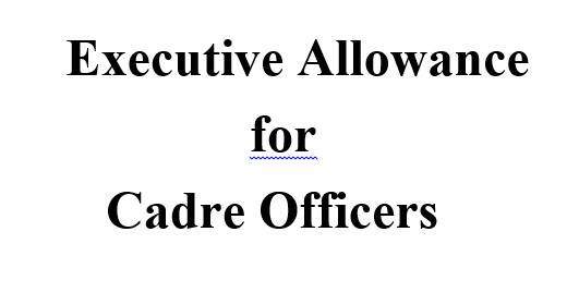 Govt decides to give Executive Allowances to cadre officers