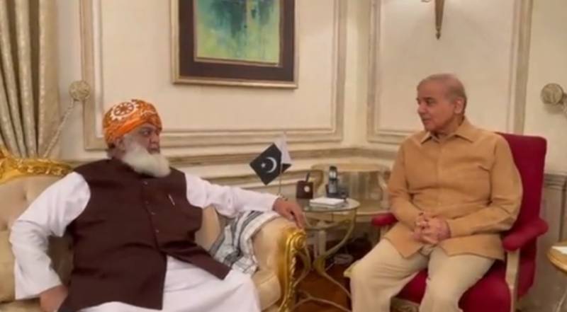 Shehbaz, Fazl vow to continue concerted efforts for public welfare 