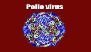 Second case of poliovirus reported in Pakistan