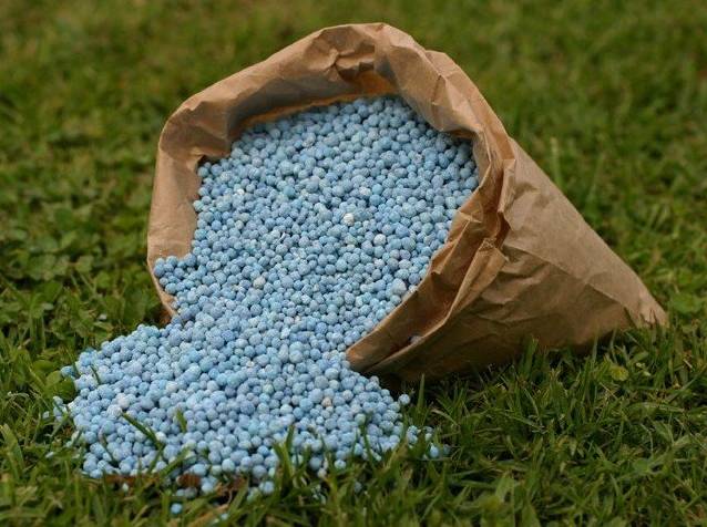 Govt reduces price of 50kg fertilizer bag by Rs389