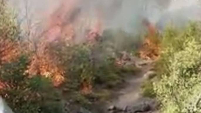 Fire breaks out in Margalla Hills again