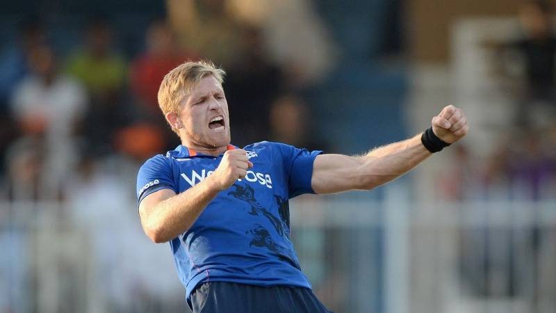 England's Willey back in love with cricket