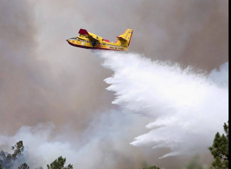 Pilot killed after firefighting plane crashes in Portugal