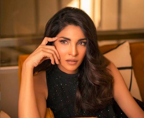 Zhalay Sarhadi criticized for advising Hania Aamir