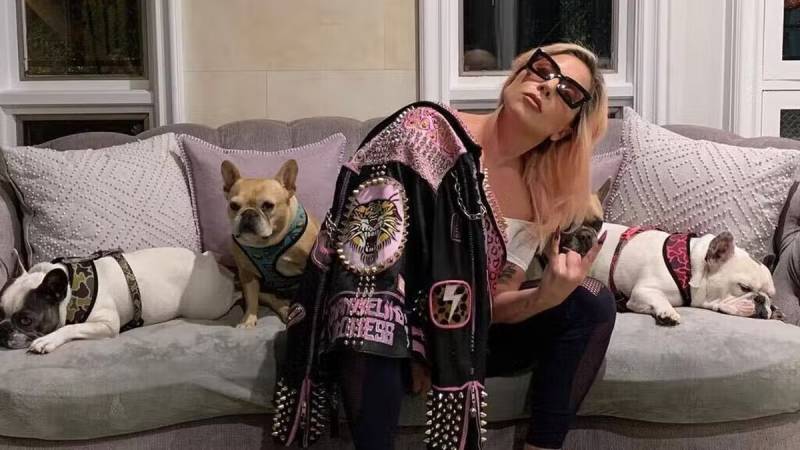 Lady Gaga dog robbing suspect recaptured after mistaken release