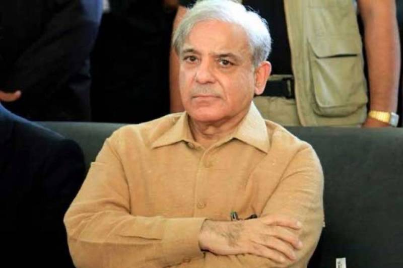 PM Shehbaz sacks PMDC members