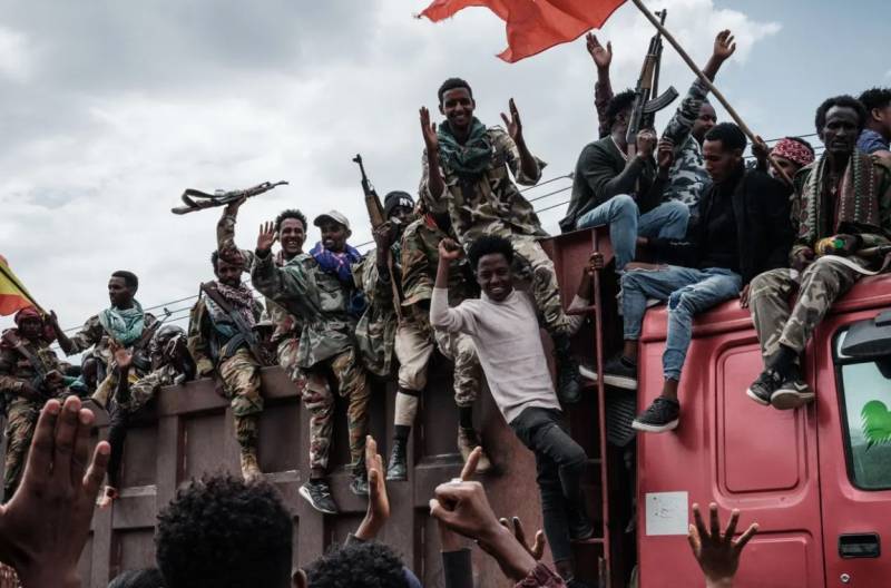 Ethiopia rebels call for conditional truce