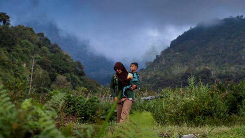 Indonesia, Norway ink deal to reward rainforest protection