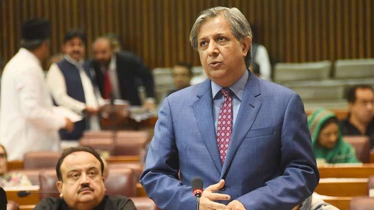 Tarar assures govt trying to get rid of scourge of enforced disappearances 