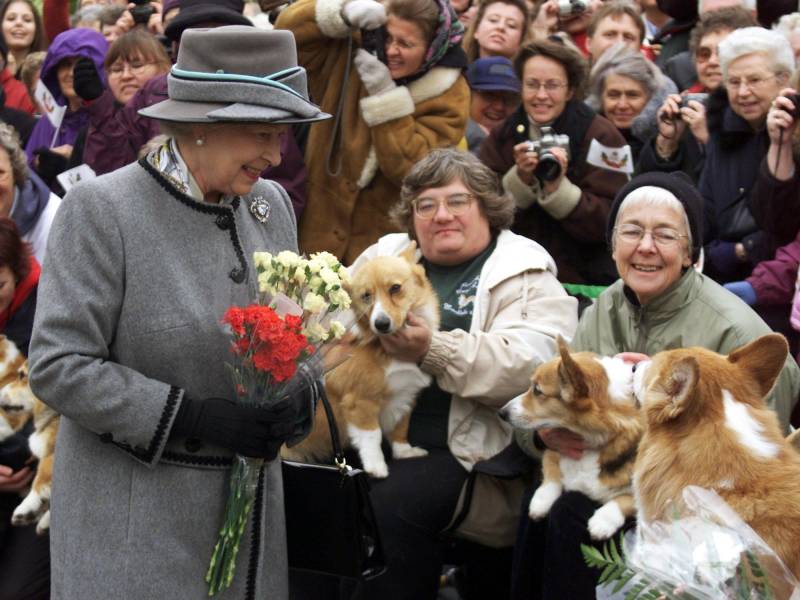 Demand for queen's favourite corgi dogs hits new high after her death