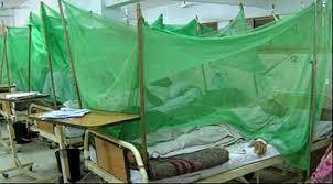 Dengue infects 108 more in Islamabad