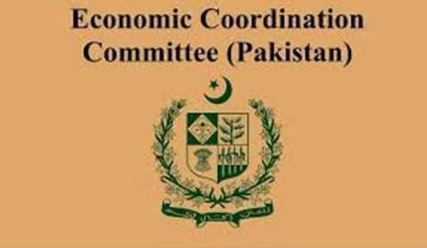  ECC approves competitive power tariff for export sector