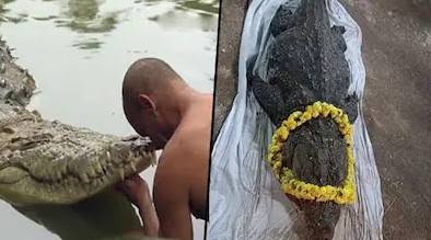 'Vegetarian' temple crocodile mourned in India