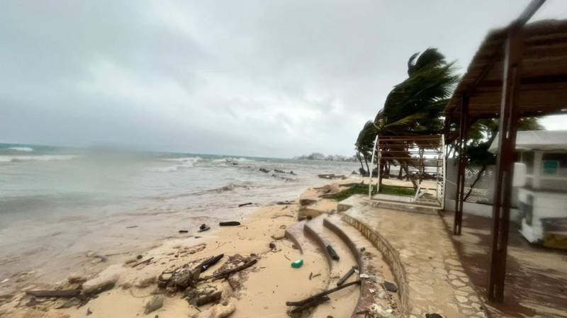 Wind blows palm trees ahead of Tropical Storm Julia in San Andres Island, Colombia. AFP