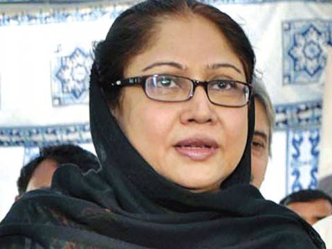 'Save the Children' delegation calls on Faryal Talpur 