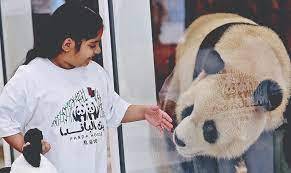 Qatar gets the Middle East's first pandas