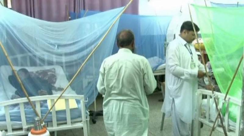 40 dengue cases reported in Rawalpindi, 26 in Islamabad 