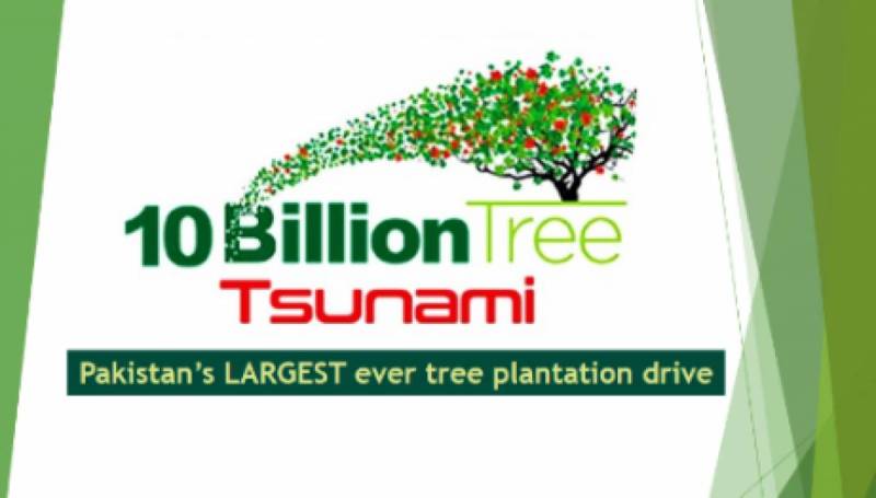 PTI’s ten billion trees project on NAB’s radar