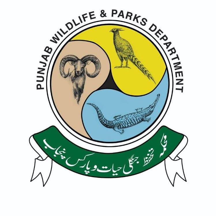 Punjab arrests 9 people involved in illegal hunting of wild animals