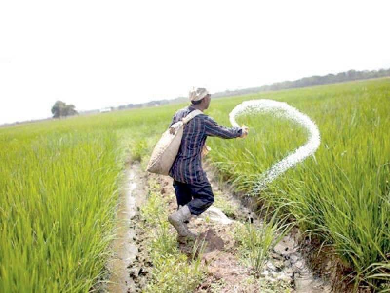 Pakistan to import fertilizer and wheat to meet food needs 