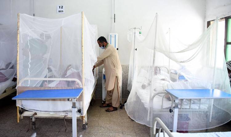 Sindh reports 220 dengue cases