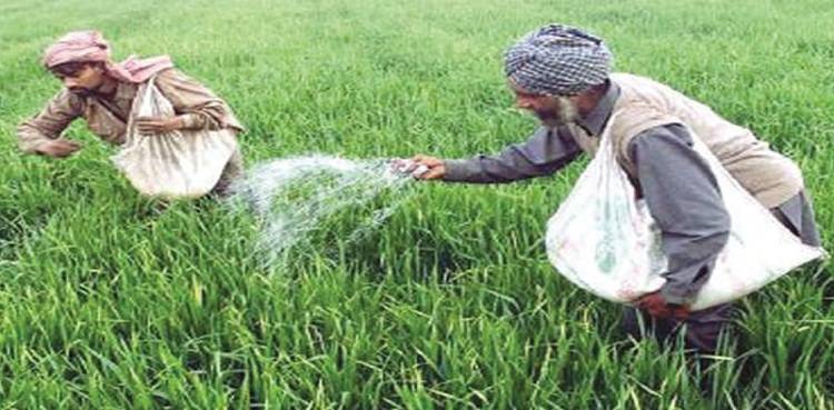 ECC reduces DAP fertilizer price from Rs 13,750 to RS 11,250  