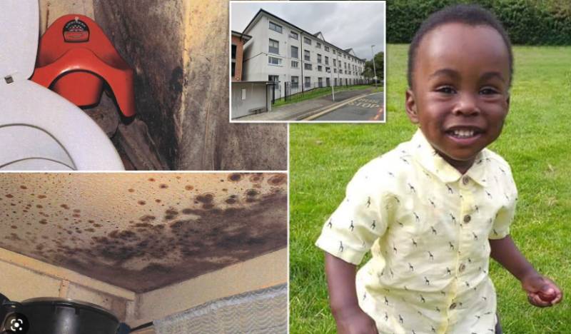 British toddler's death due to mould sparks outcry