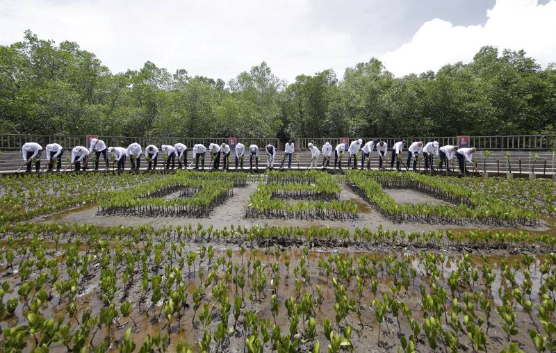 Leaders plant their seedlings during a mangrove planting event at the Tahura Ngurah Rai Mangrove Forest Park as part of the G20 Leaders' Summit in Nusa Dua, on the Indonesian resort island of Bali. AFP