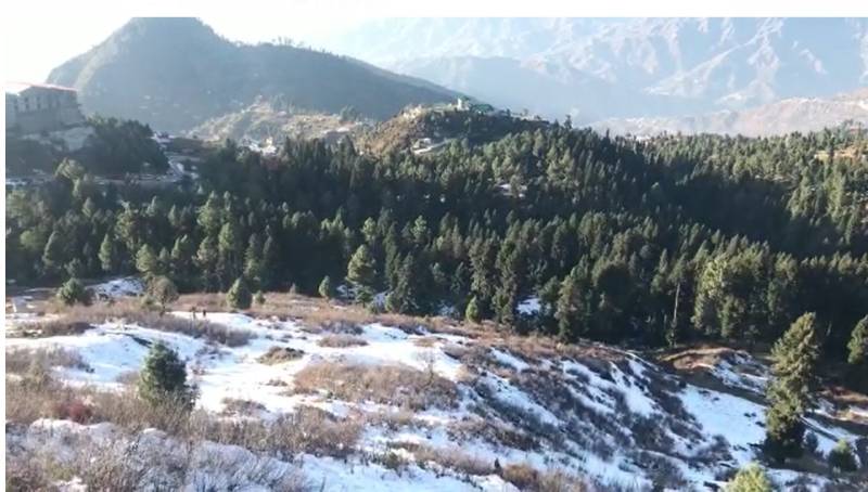 Tourists reach Malam Jabba to enjoy winter wonderland as snowfall starts