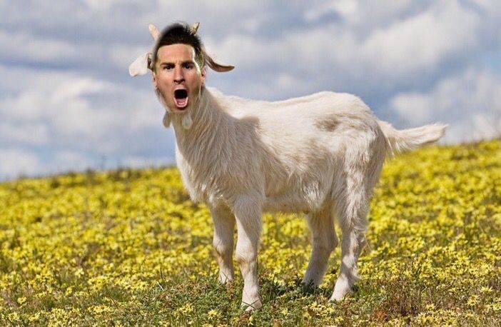 Netizens roast GOAT Messi after Saudi Arabia’s win over Argentina