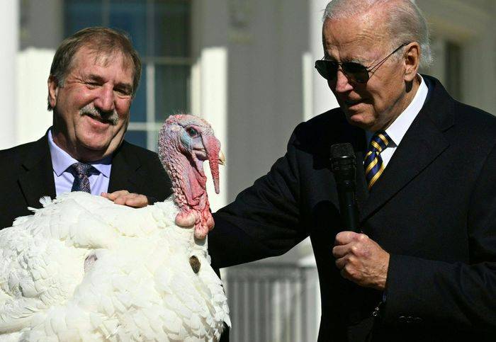 Biden pardons turkeys 'Chocolate' and 'Chip' for Thanksgiving