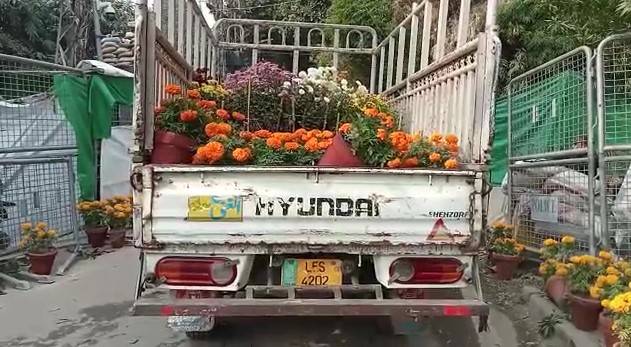 PHA shifts loads of flower plants at Imran Khan’s residence