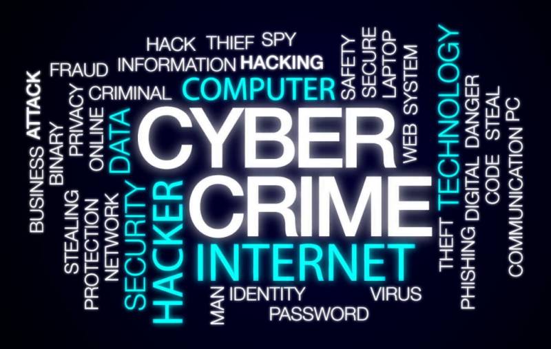 Interior Ministry declares increasing internet users a cybercrime threat 