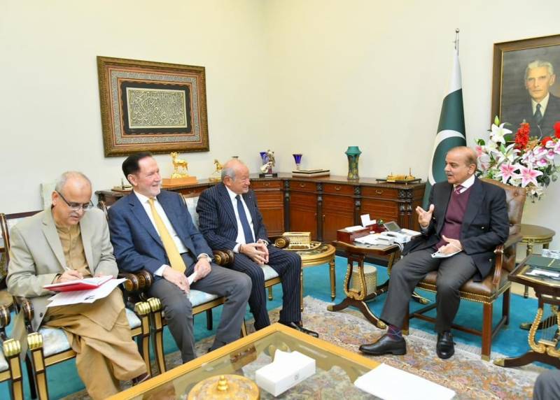 PM assures full support to foreign investors in meeting with Egyptian businessman