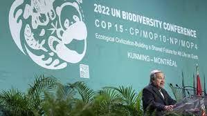 UN deal calls for $20 bn international biodiversity aid: draft