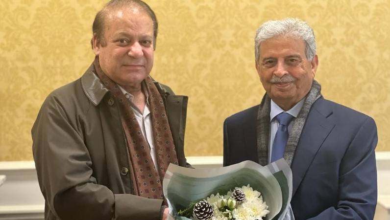 Education Minister Rana Tanveer meets Nawaz in London 