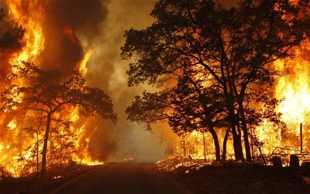 Huge fire sweeps Abbottabad forests