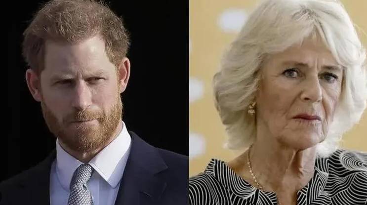 Prince Harry accuses Camilla of private talks leaks to media