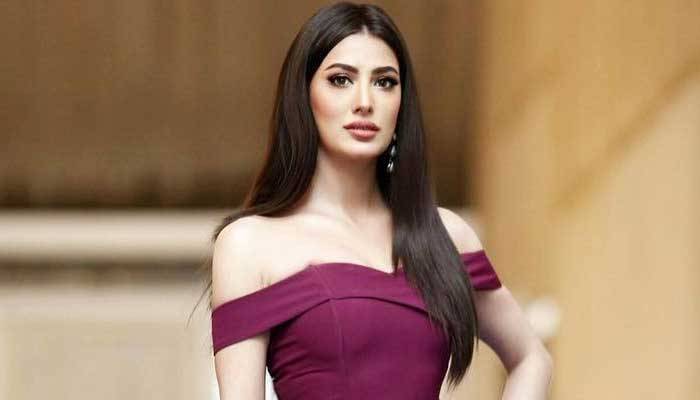 Mehwish Hayat files petition against Adil Raja in SHC