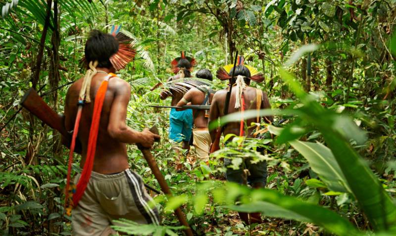 Indigenous land rights help protect Brazil's forests