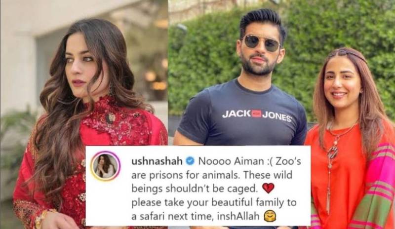 Gorgeous Aimen Khan recently visited zoo with husband Muneeb Butt and daughter Amal Muneeb, Actress Ushna Shah expressed disappointment towards the couple’s decision to go to Zoo 