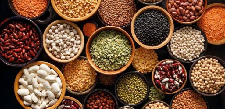 prices of pulses have been slashed in the city by rupees ranging from 20 to 25 per kg following the release of as many as 2,000 containers of pulses stuck at Karachi port,