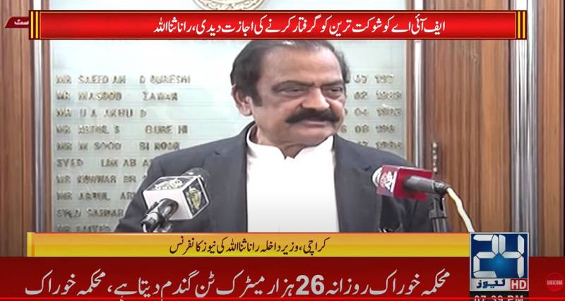 FIA allowed to arrest Shaukat Tarin: Rana Sanaullah 